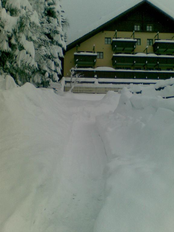 Nevesole Folgarida Resort Aparthotel Extérieur photo